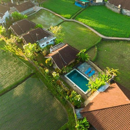 Ubud Glassy Villa By Pramana Villas Εξωτερικό φωτογραφία