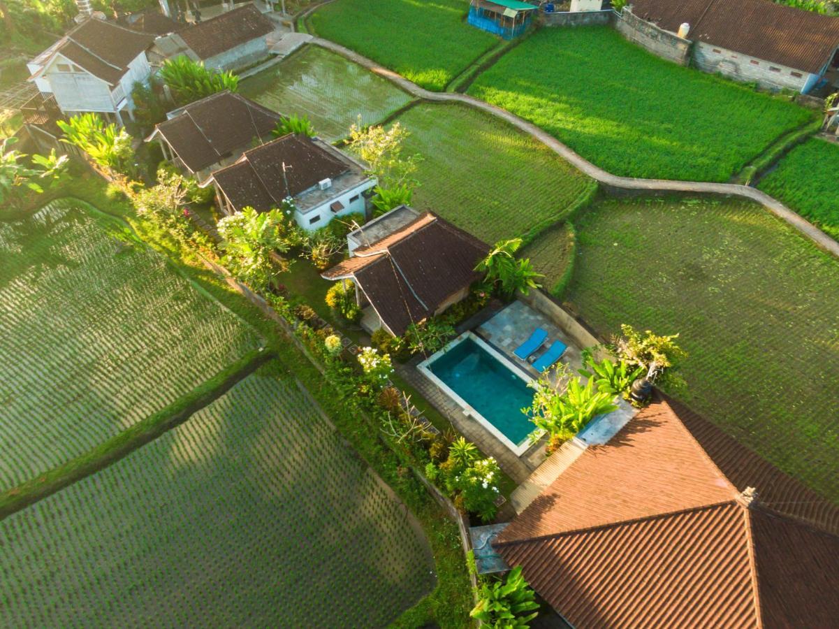 Ubud Glassy Villa By Pramana Villas Εξωτερικό φωτογραφία